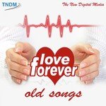 Love Forever - Afzal Song Download
